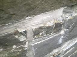 millstreet 10240.jpg